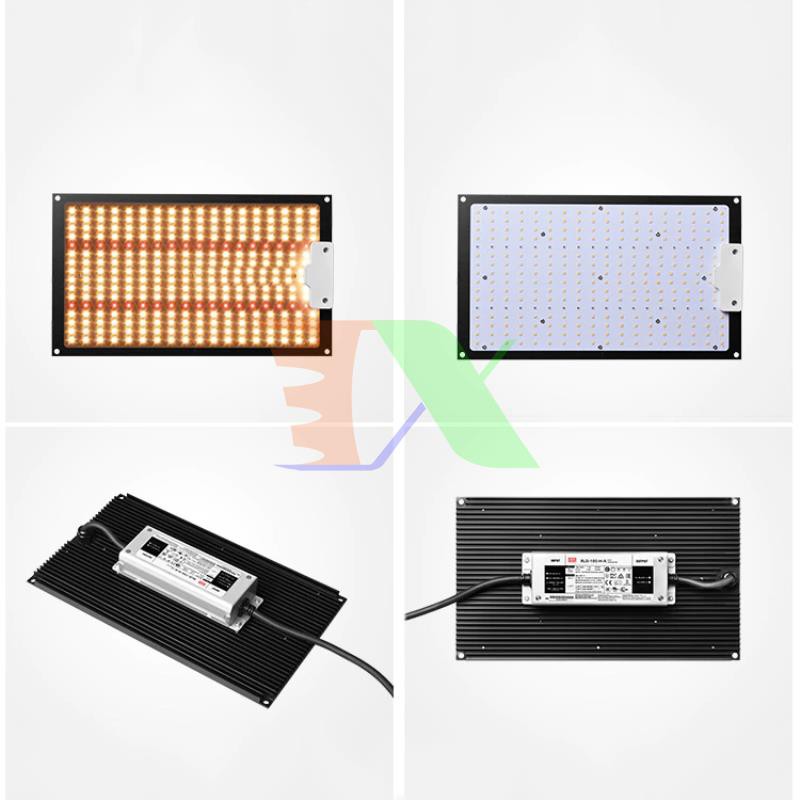 Đèn trồng cây Lượng tử QBS1000, Led grow lights chip Samsung 1000W, Đèn trồng rau trong nhà