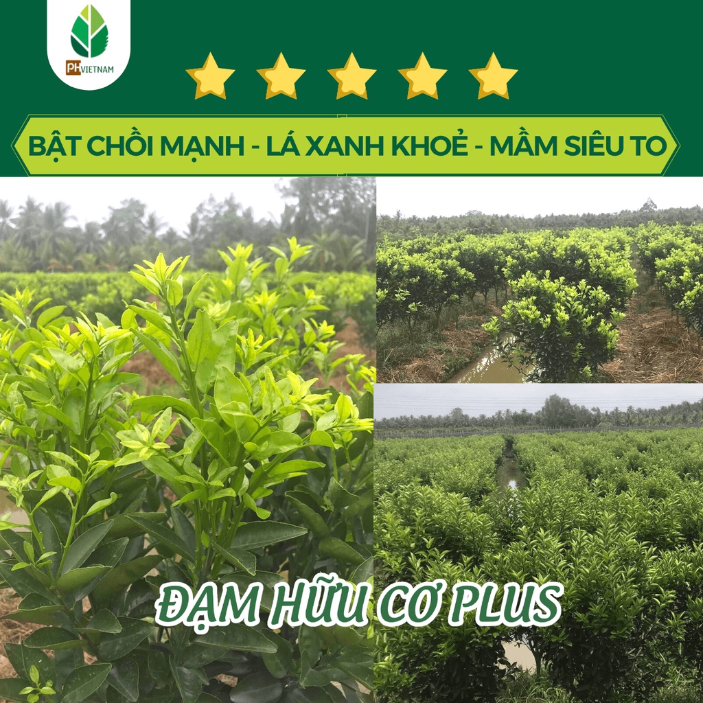 Phân Bón Đạm Hữu Cơ Plus Đậm Đặc 1 Lít - Chuyên Phục Hồi Vườn - PH Việt Nam