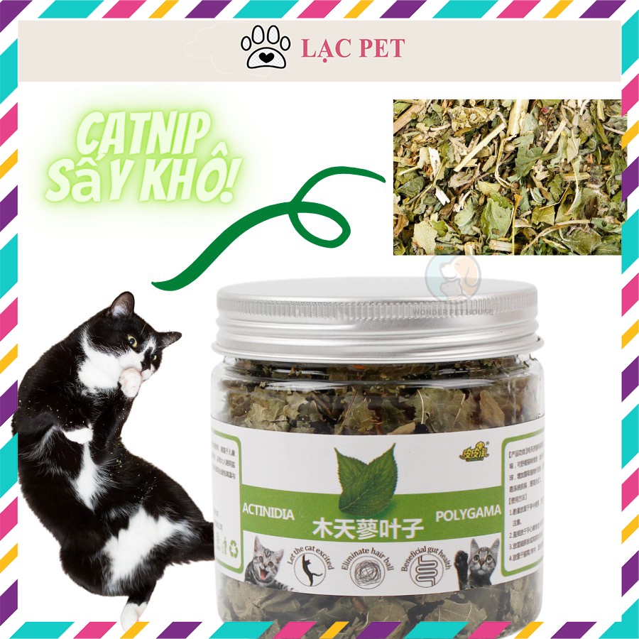 Hộp Cỏ Catnip Lá Lớn Không Xay Nhuyễn - Catnip Thư Giãn Dành Cho Mèo