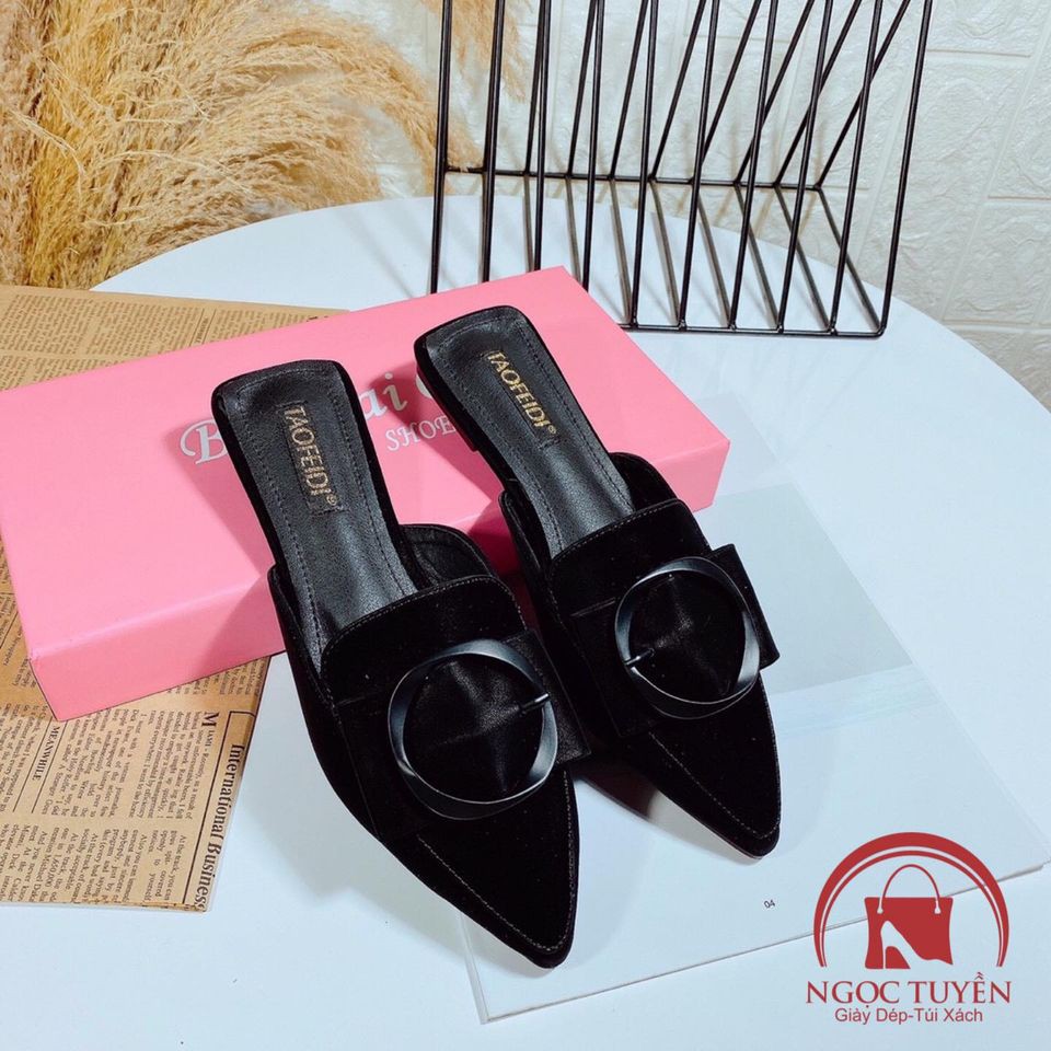 DÉP GUỐC SỤC TAOFEIDI