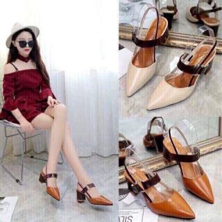 Giầy cao 5p kiểu dáng mới(kèm ảnh thật)
