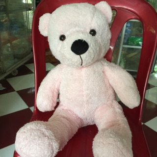 Gấu bông của Hiền Nguyễn