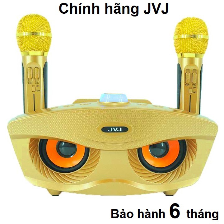 Loa Bluetooth Karaoke SDRD SD-306