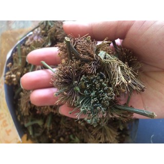 Hoa tam thất khô (500g)