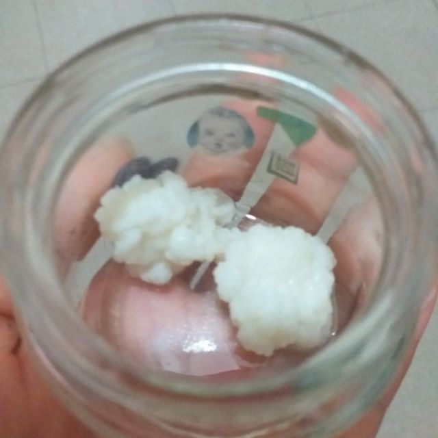 NẤM KEFIR SỮA CHUA HY LẠP (NẤM TUYẾT)
