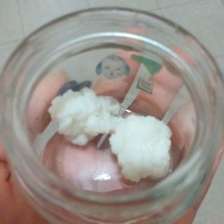NẤM KEFIR SỮA CHUA HY LẠP (NẤM TUYẾT)