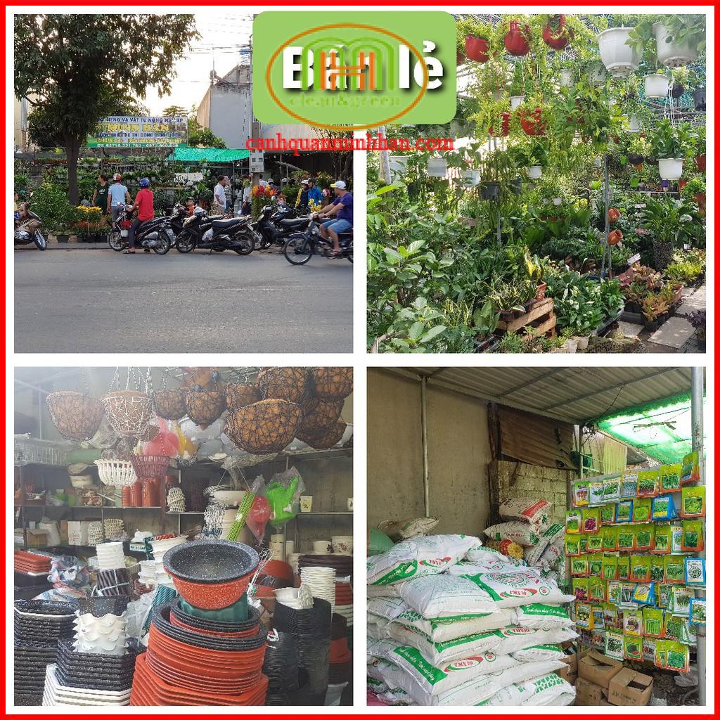 Xơ dừa đã xử lí trồng cây ươm cây 50dm3  làm giá thể cho việc trồng hoa, ươm cây trồng