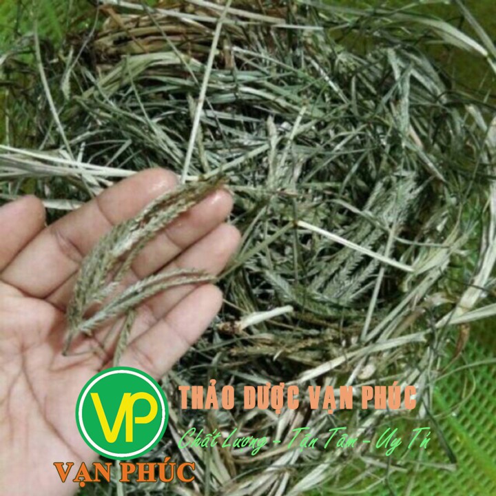 Cỏ mần trầu trị tóc bạc khô 1kg (hàng mới,sạch)