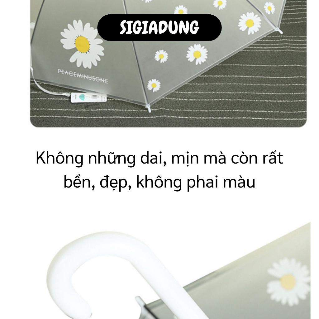 [SGD] Dù Đi Mưa - Dù Trong Suốt Hình Hoa Cúc Che Mưa Nắng, Phụ Kiện Chụp Ảnh 529