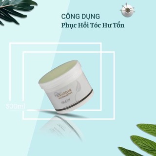 Hấp phục hồi chuyên sâu OHaTo