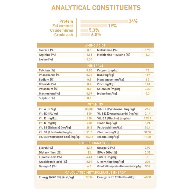 Thức ăn cho mèo anh lông ngắn trưởng thành trên 12 tháng tuổi Royal Canin British Shorthair Adult 2kg sản xuất tại pháp