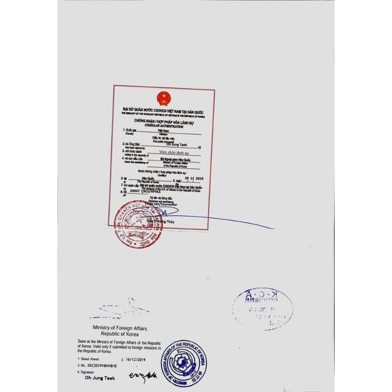 [CHÍNH HÃNG 💯%] BODY DIỆP LỤC MQ SKIN | BigBuy360 - bigbuy360.vn