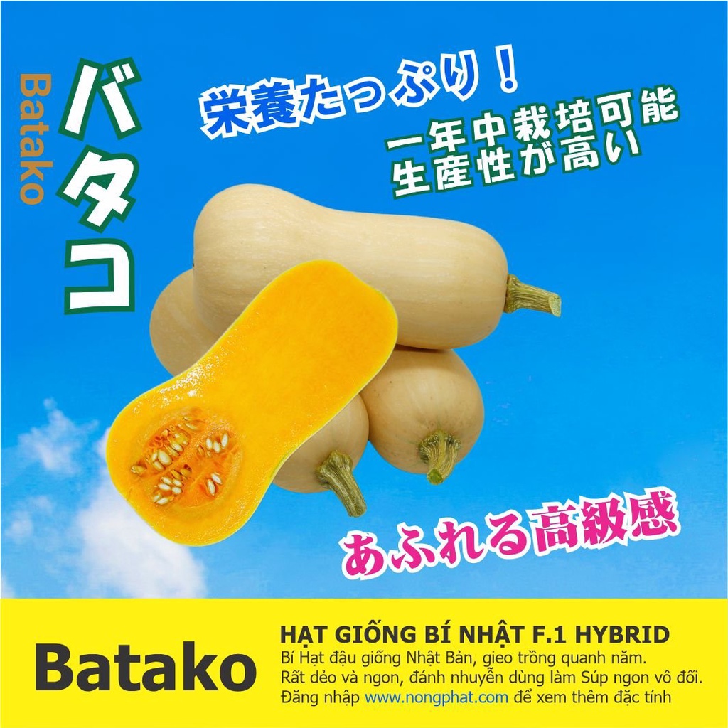 Hạt Giống Bí Đỏ Hạt Đậu BATAKO - Giống Nhật bản F1