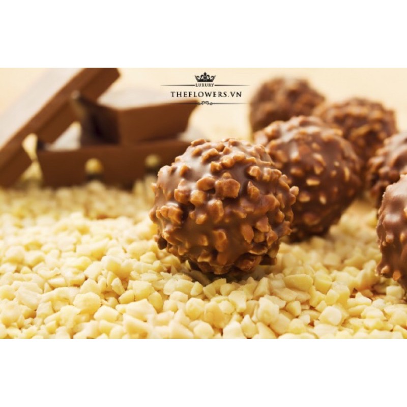 Socola Ferrero Rocher 5 Viên – 62,5g