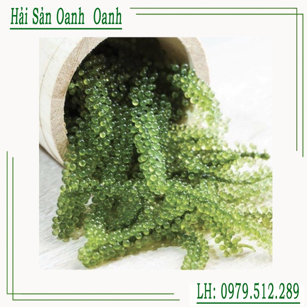 Tặng xốt  hương vị Nhật} 100gr Rong nho tách nước