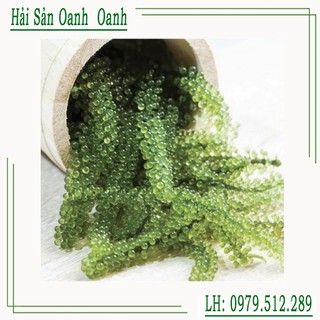2 gói 100gr rong nho tách nướC