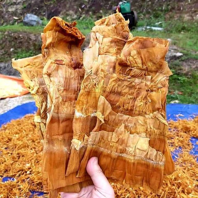 Măng Nứa khô Tây Bắc - Măng Nứa Rừng Điện Biên