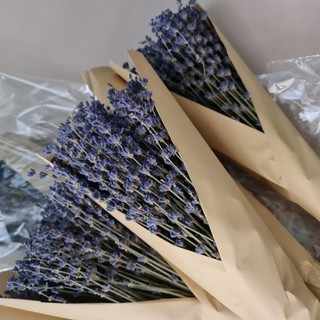 Combo sỉ 1kg lavender