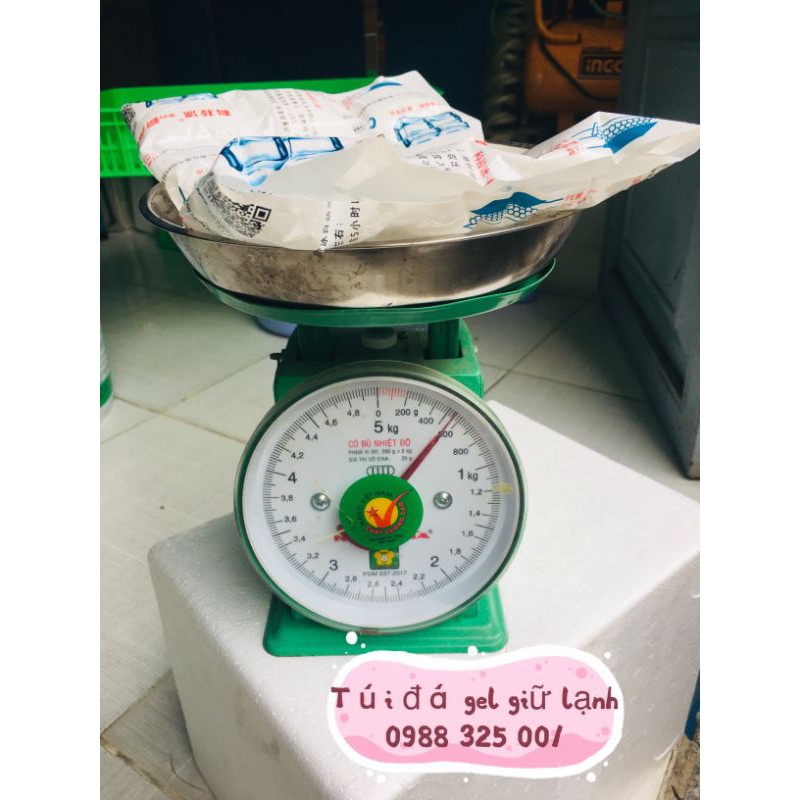 ĐÁ GEL GIỮ LẠNH DẠNG TẤM 500G (NHỎ GỌN,TIỆN LỢI)