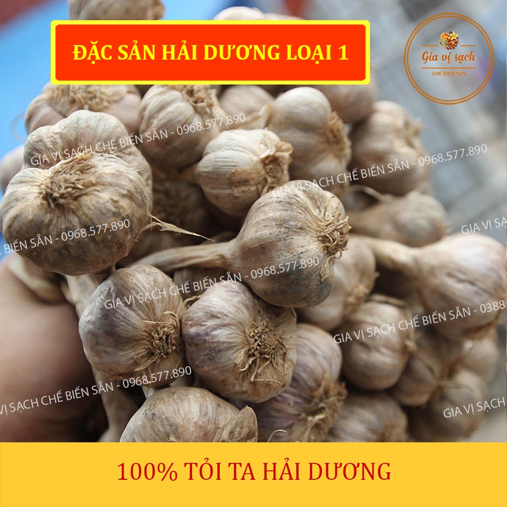 Bột tỏi ta LOẠI 1 gói 100g - 250g || Gia vị sạch chế biến sẵn