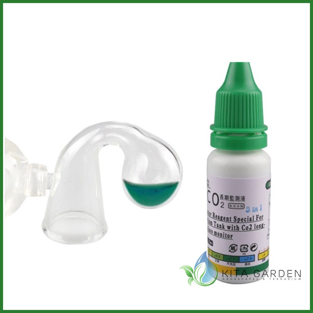 TEST CO2 THỦY TINH HÌNH CHÓP