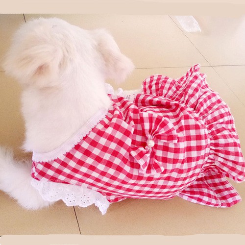 Quần áo cho chó cưng mùa xuân hè mới Teddy Bichon poodle cún con Váy cung cấp đặc biệt