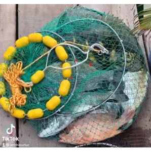 Giọ cá 14 phao vàng khung cáp siêu chắc chắn 155k
