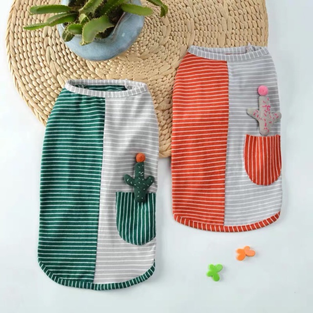 ÁO CÂY XƯƠNG RỒNG