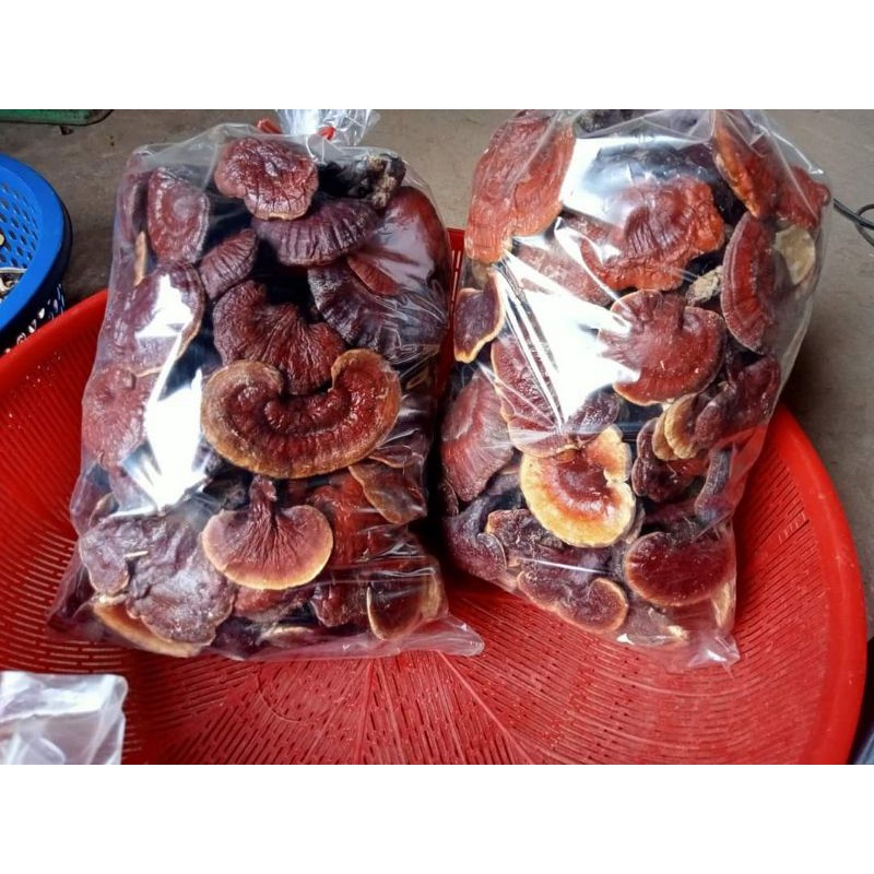 1kg nấm lim xanh hàng trồng