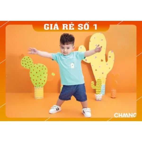 [Mã SR14MAY5 giảm 20K đơn 50K] Hàng chính hãng Áo phông xanh Chaang/ Size 6-36m