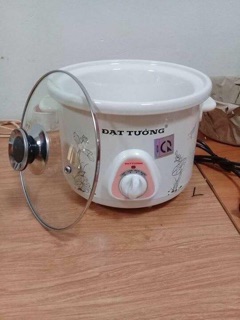 Nồi nấu cháo chậm Đạt Tường