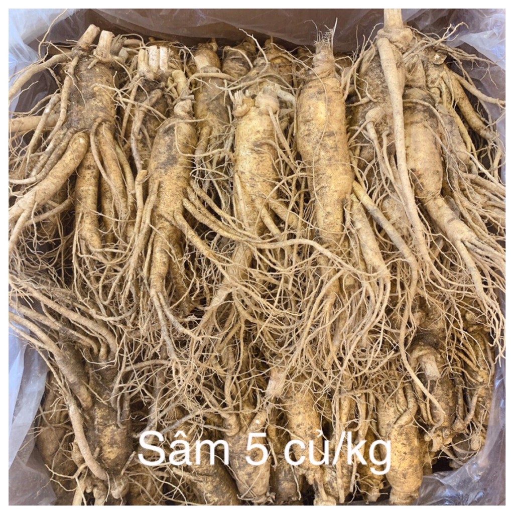 Sâm tươi Hàn Quốc 6 năm tuổi, size 5 CỦ/KG, 2.700.000/kg