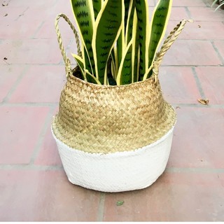 Giỏ cói đựng cây giả, đựng đồ loại nhỏ