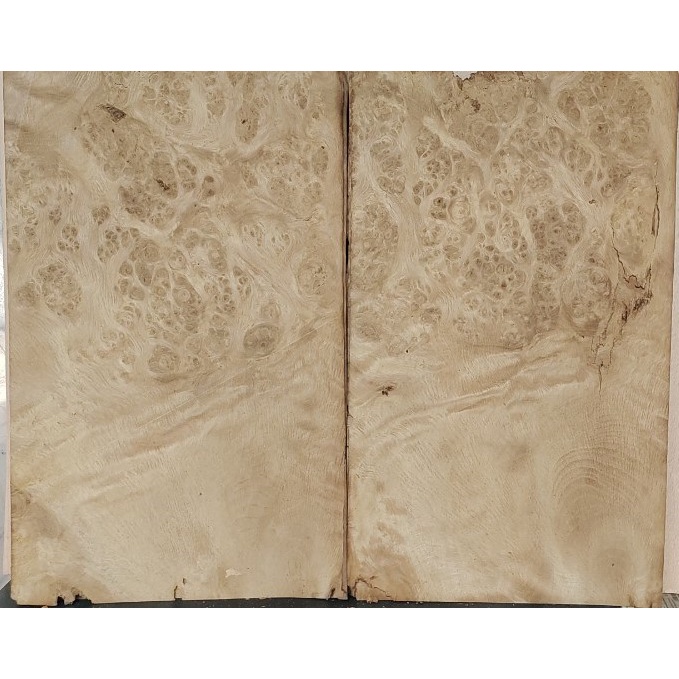 Ván lạng veneer Nurl  bất kỳ làm đồ trang trí, handmade, dán thùng loa.