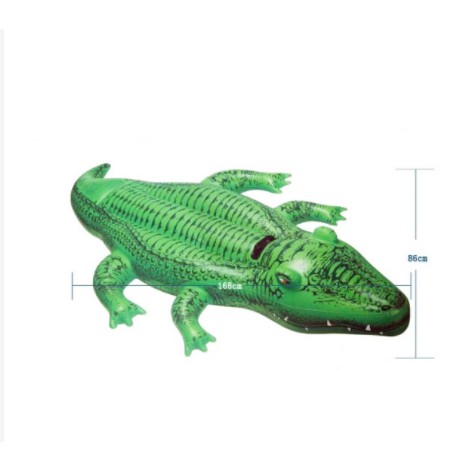 Phao bơi cá sấu loại to