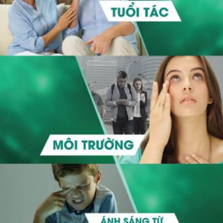 WIT - THỰC PHẨM BẢO VỆ MẮT