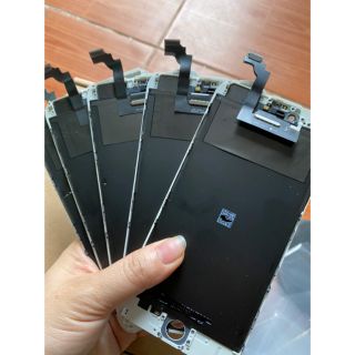 Màn 6plus zin
