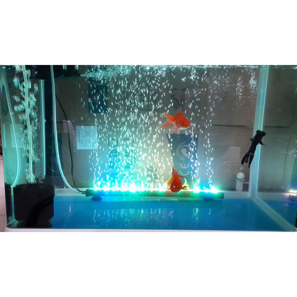 Đèn Led Sủi RS A36 và A46 Trang Trí Bể Cá Cảnh, Cung Cấp Oxy