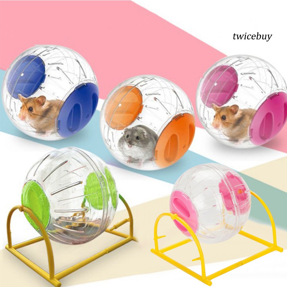 Bộ Đồ Chơi Bánh Xe Trong Suốt Cho Chuột Hamster