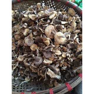 Nấm hương - đặc sản Sa Pa