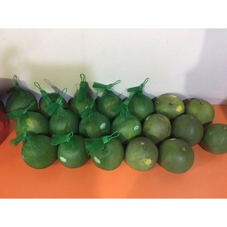 Bưởi da xanh bến tre size 1-1,3kg
