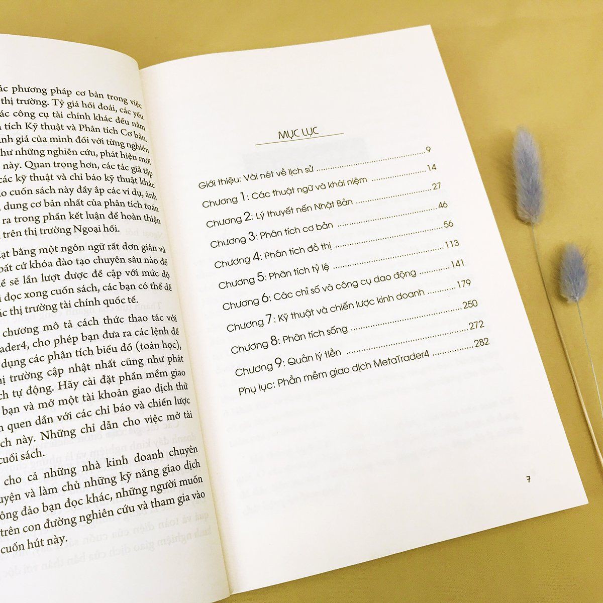 Sách - Forex 100% - Học Cách Kiếm Tiền Từ Thị Trường Ngoại Hối - Thanh Hà Books | BigBuy360 - bigbuy360.vn