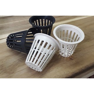 [HOT] 10 Rọ nhựa thủy canh 65x65x40mm bền đẹp