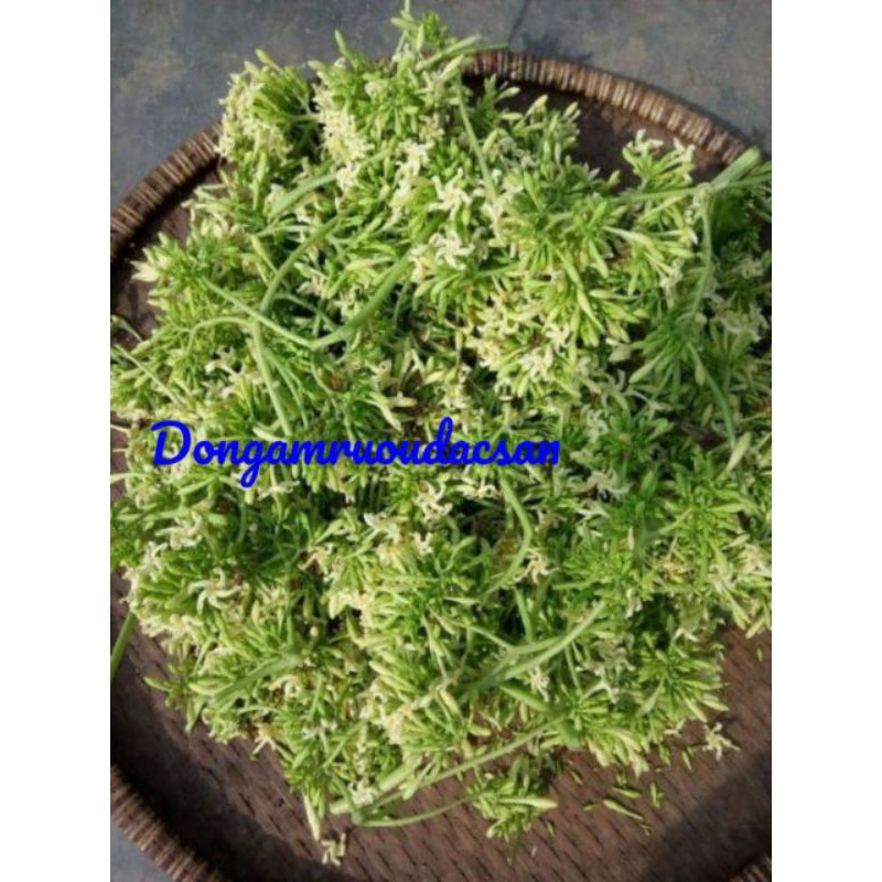 HOA ĐU ĐỦ ĐỰC KHÔ ĐẸP 500G hàng sấy sạch sẽ