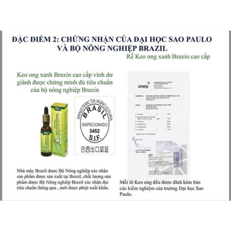 KEO ONG XANH Brazil DLC