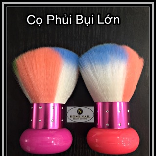 Cọ Phủi Bụi Lớn