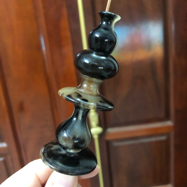 Nậm khuyên sừng châu phi