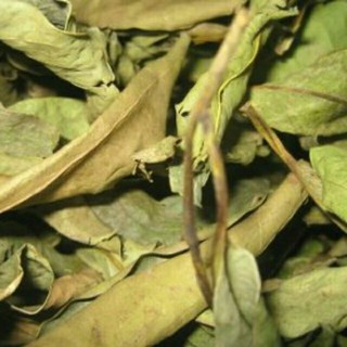 Sỉ lẻ lá vối khô 500g - 1kg