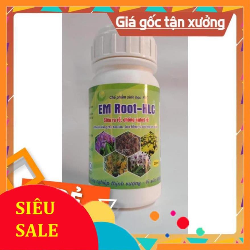 EM ROOT HLC chuyên Kích Rễ cho Hoa Hồng, Phong Lan, Cây Cảnh giúp ra rễ, kích chồi cực mạnh, hạn chế vàng lá - 250ml