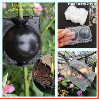 Bầu nhựa chiết cành hoa, cây cảnh dùng nhiều lần, set 10 bầu